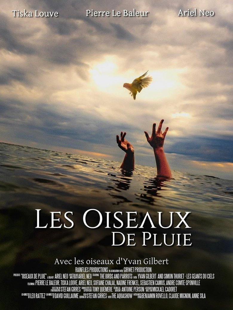 Poster of Les Oiseaux de pluie