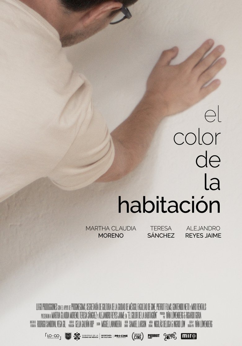 Poster of The Color of The Room