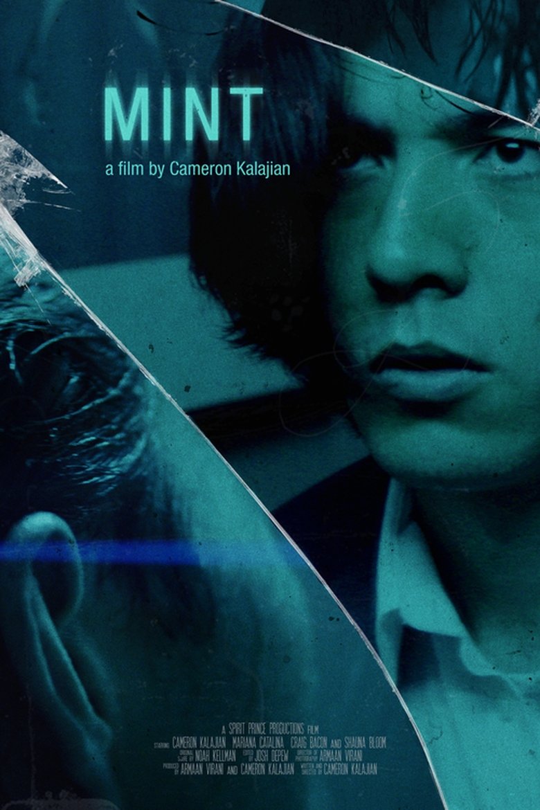 Poster of Mint