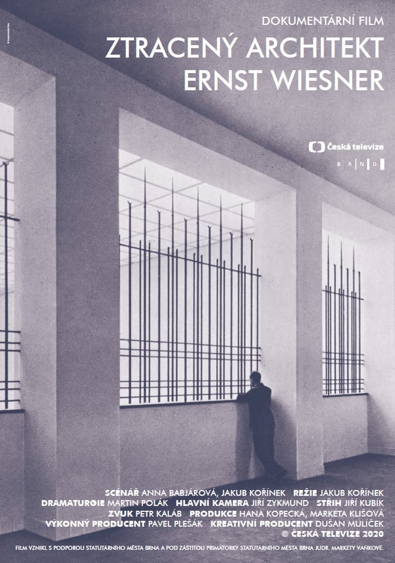 Poster of Ztracený architekt Ernst Wiesner