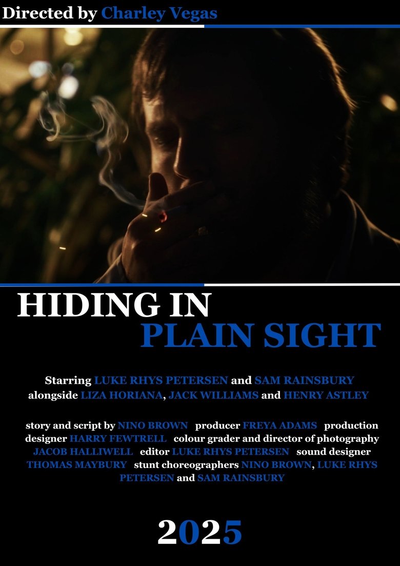 Poster of Hiding in Plain Sight