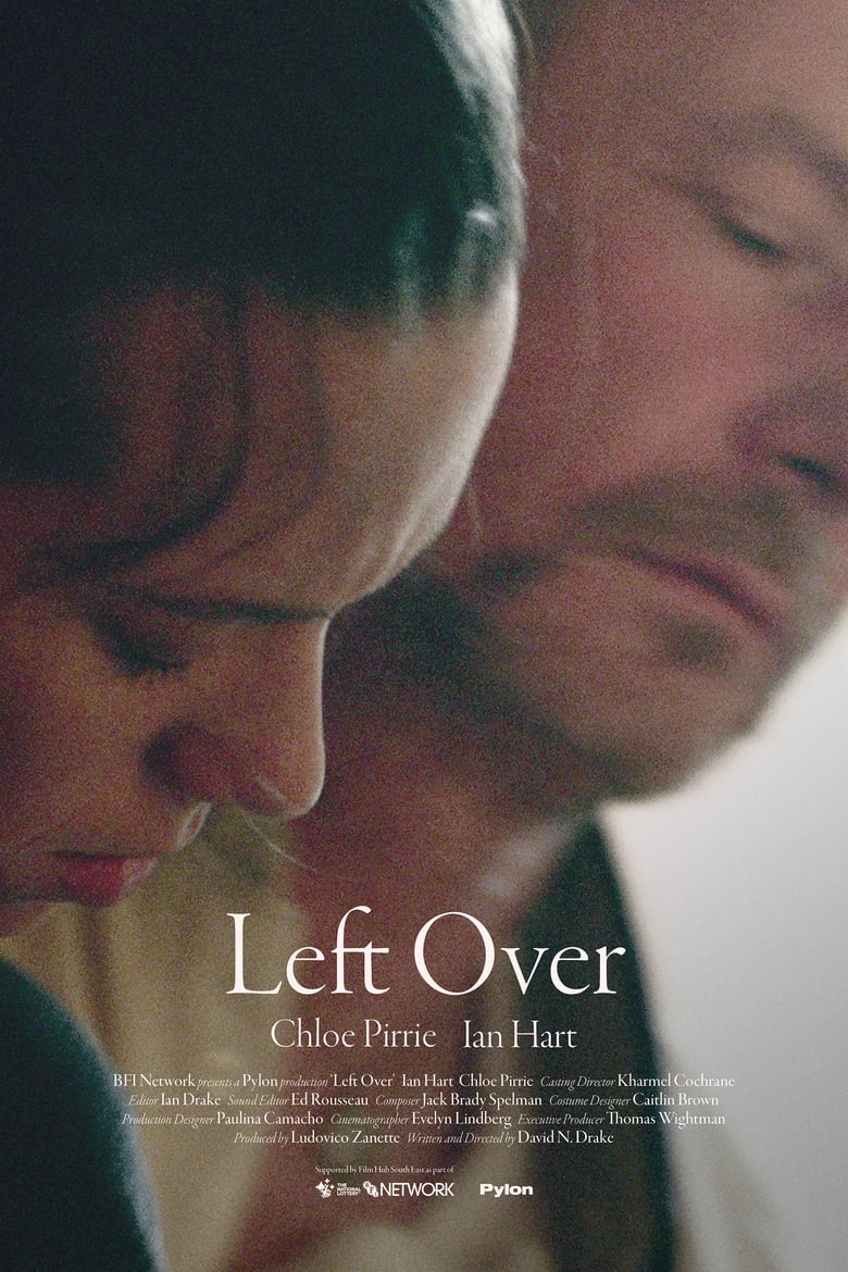 Poster of Left Over