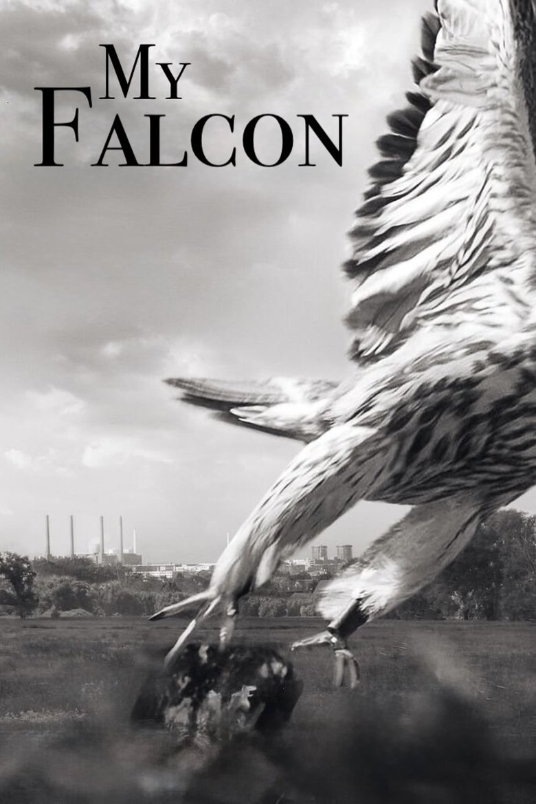 Poster of My Falcon