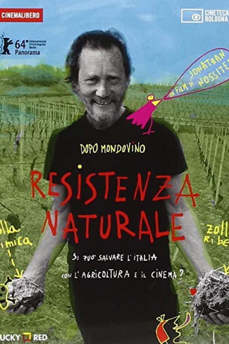 Poster of Desistenza a Milano