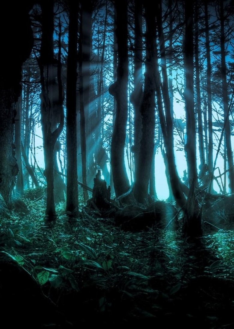 Poster of Episodes in These Woods Are Haunted - Season 3 - Season 3