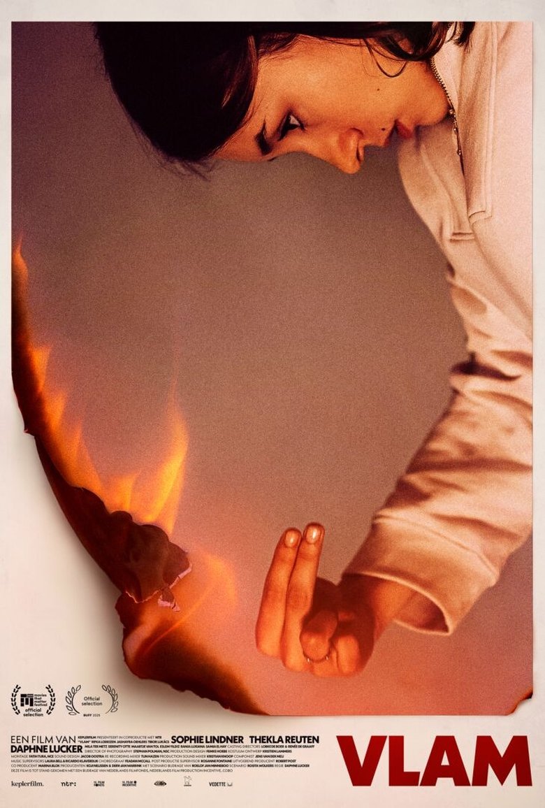 Poster of Vlam