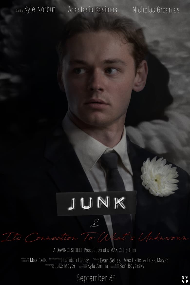 Poster of JUNK & Its Connection to What's Unknown