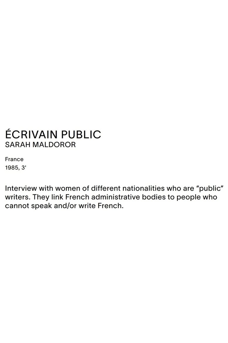 Poster of Public Writer