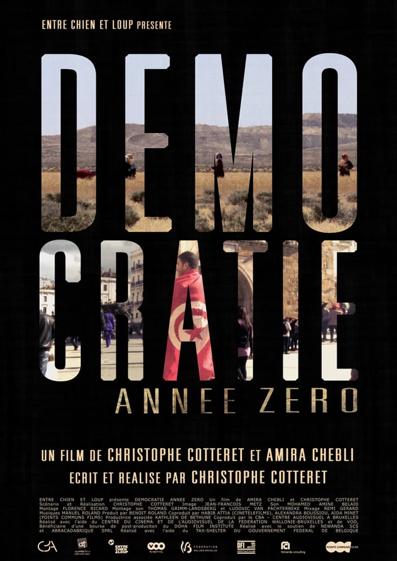 Poster of Démocratie Année Zéro