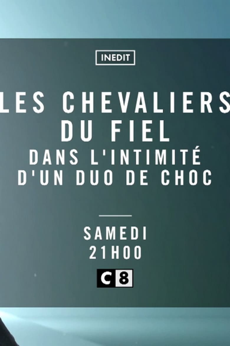 Poster of Les Chevaliers du Fiel - Dans l'intimité d'un duo de choc