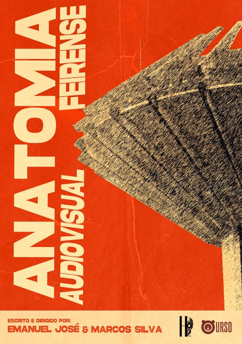 Poster of Anatomia Audiovisual Feirense