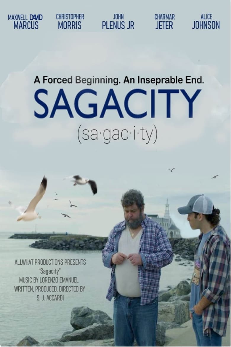 Poster of Sagacity