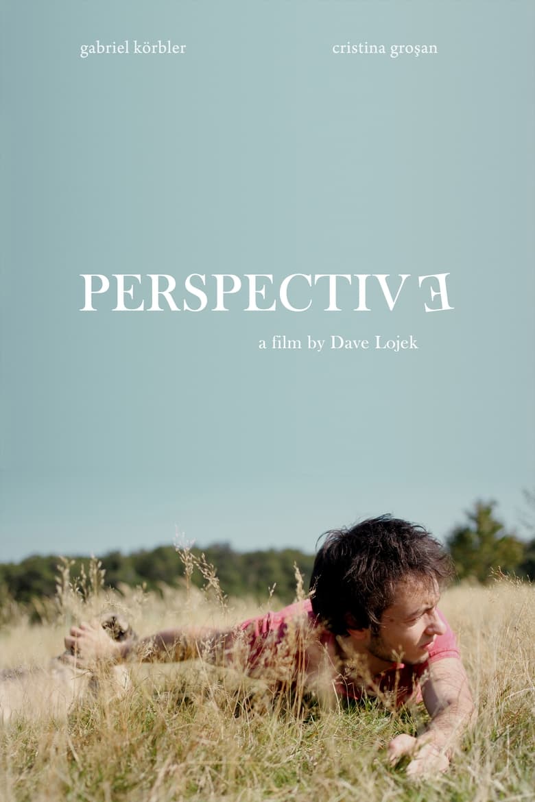 Poster of Perspective