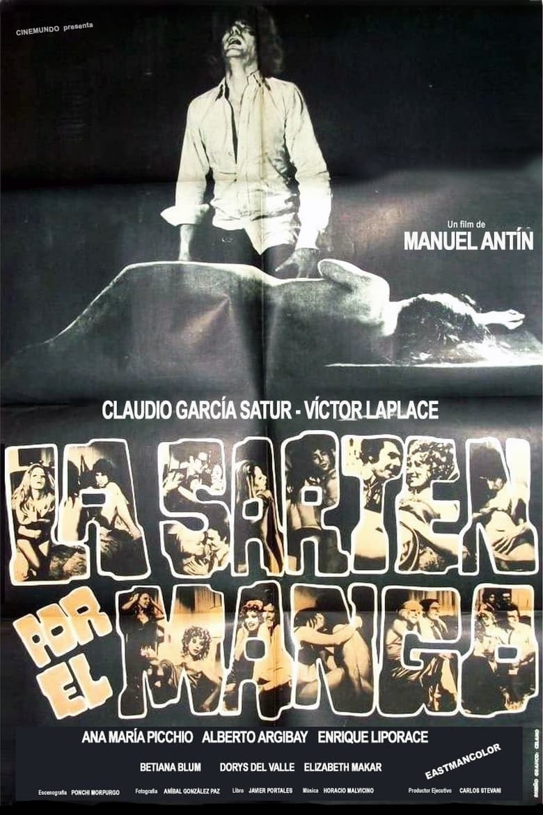 Poster of La sartén por el mango