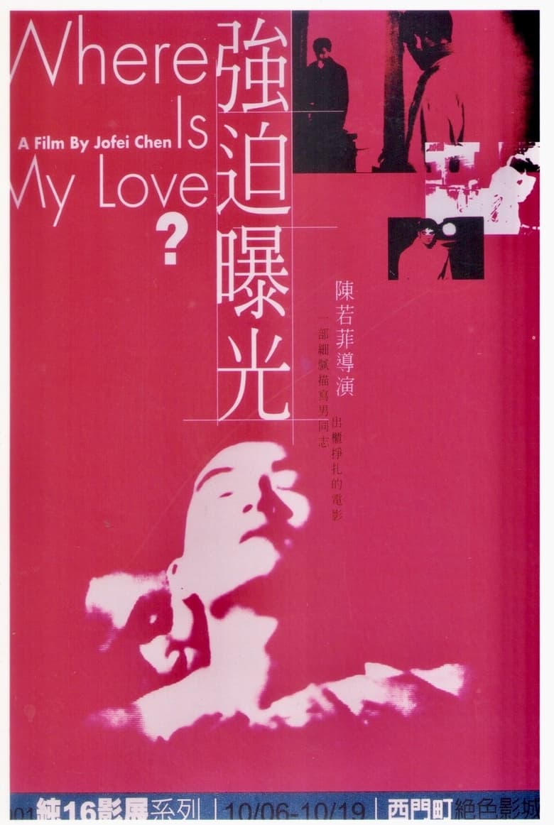 Poster of Where Is My Love?