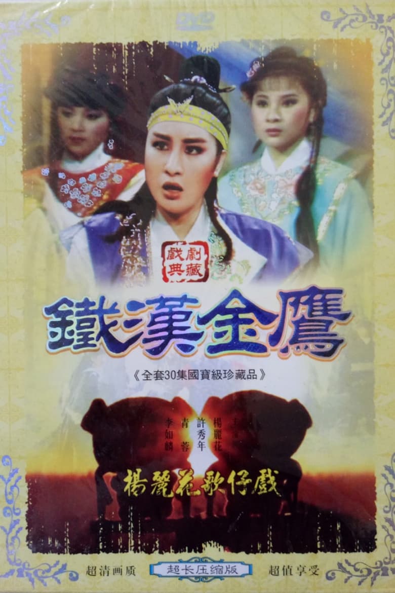 Poster of 鐵漢金鷹