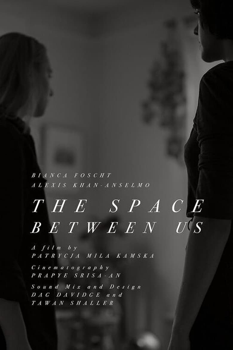 Poster of The Space Between Us