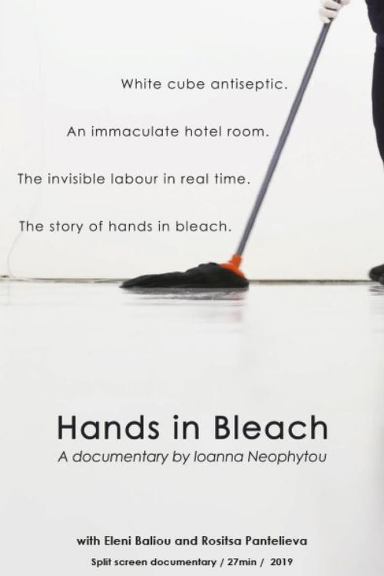 Poster of Hands in Bleach