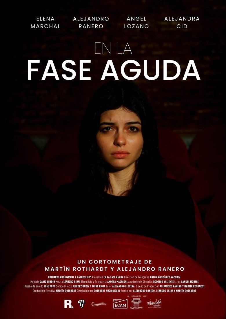 Poster of En la Fase Aguda