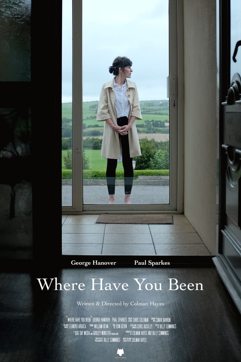 Poster of Where Have You Been