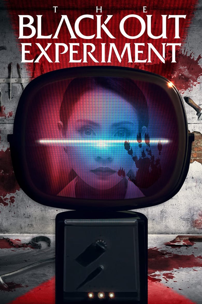 Poster of The Blackout Experiment