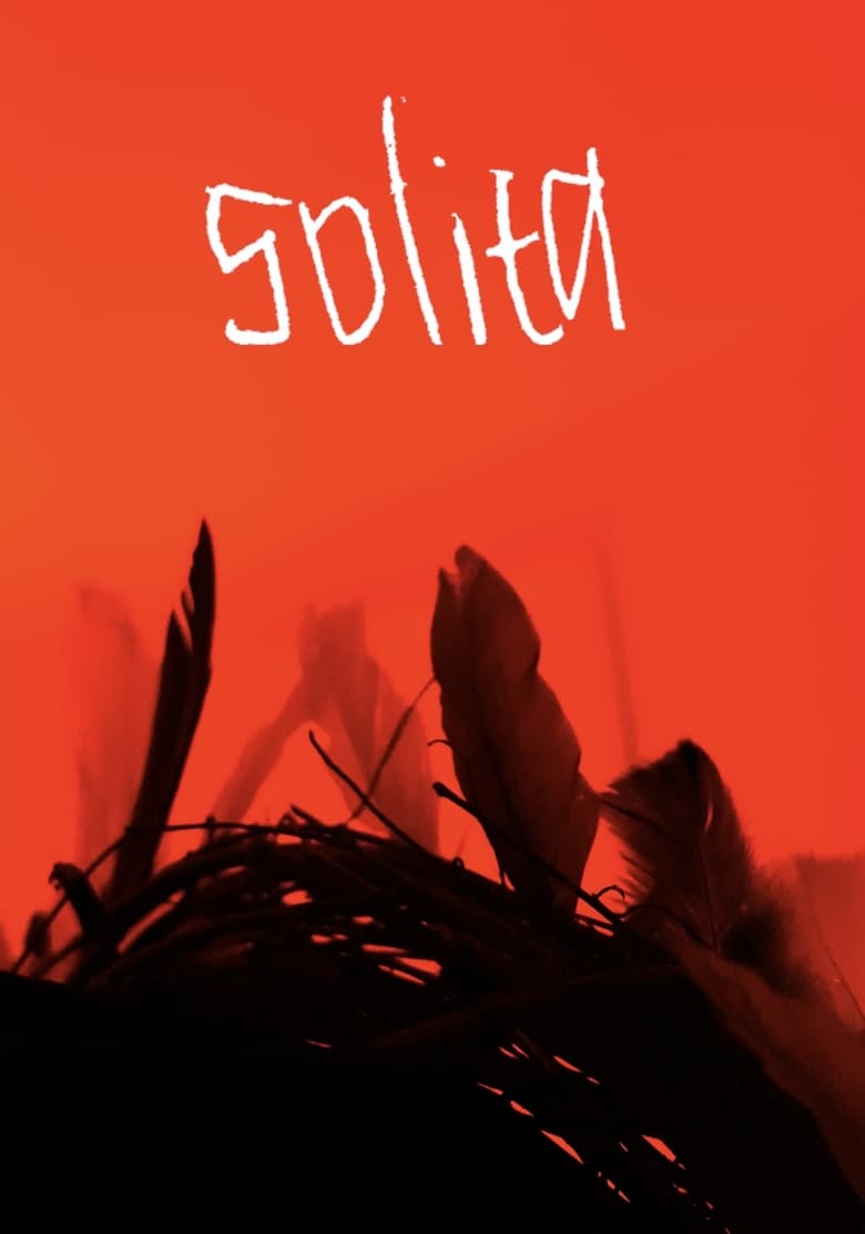 Poster of Solita