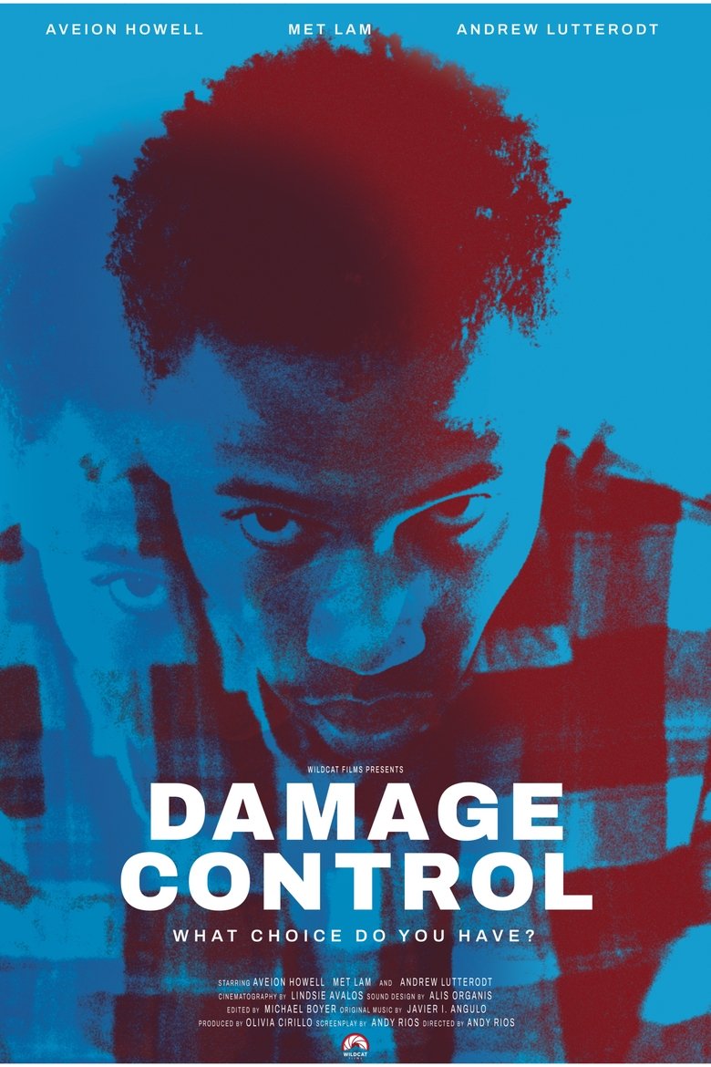 Poster of Damage Control