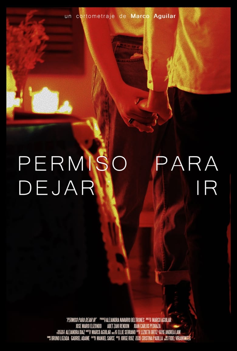 Poster of Permiso para dejar ir