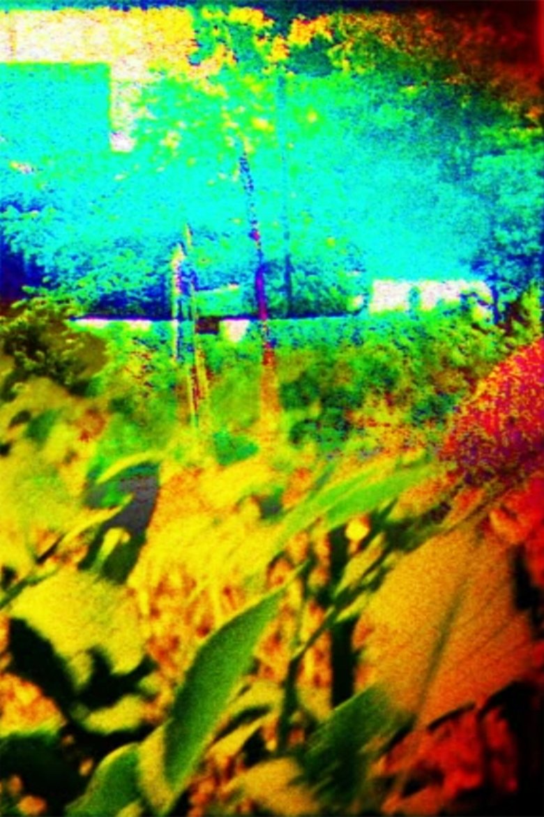 Poster of The Colors of Boulder in the Summer