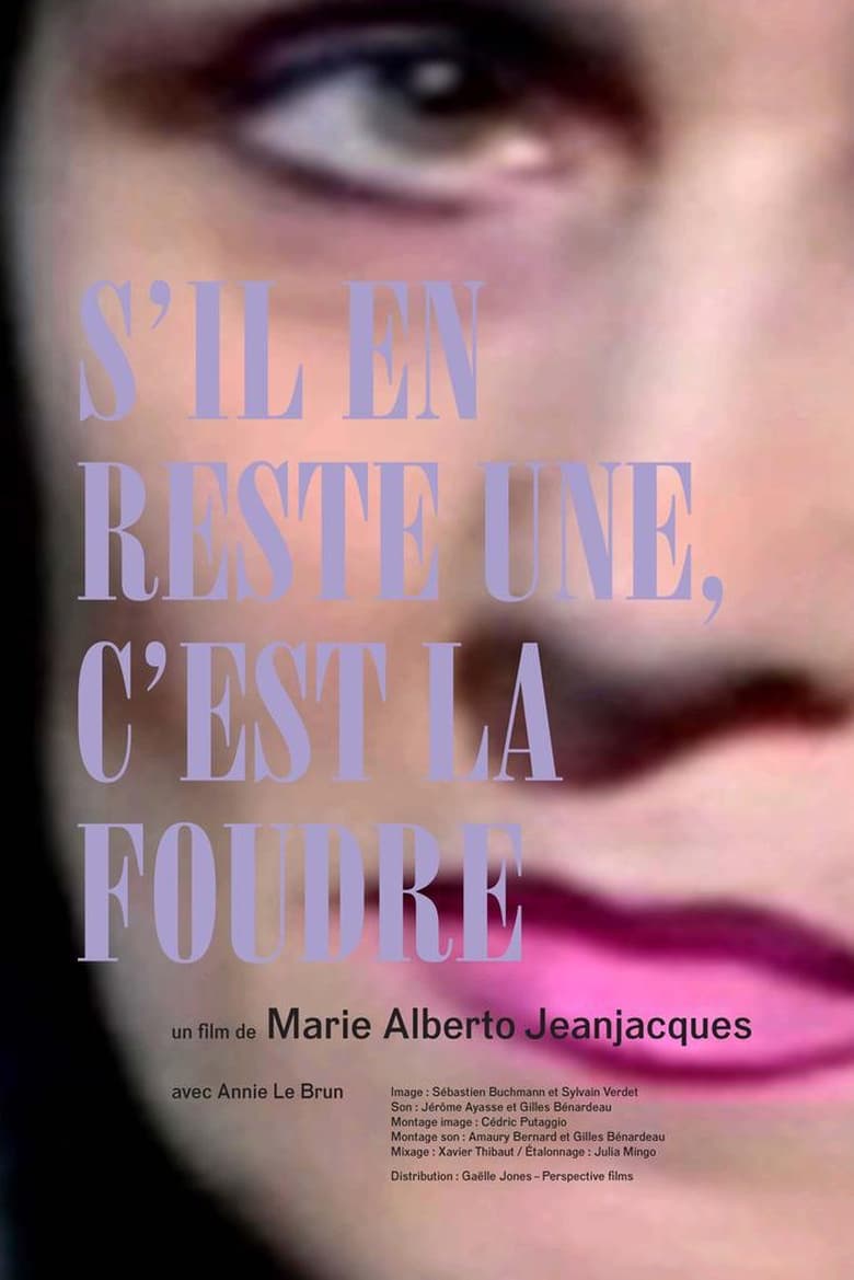 Poster of S'il en reste une, c'est la foudre