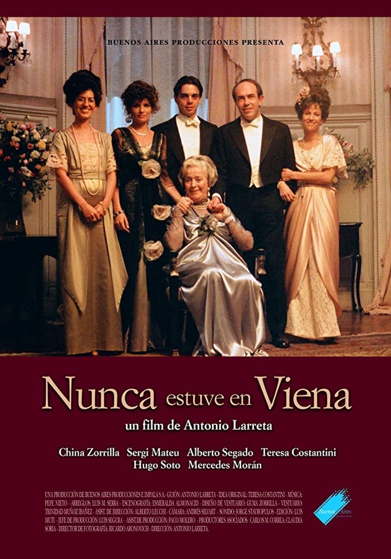 Poster of Nunca estuve en Viena