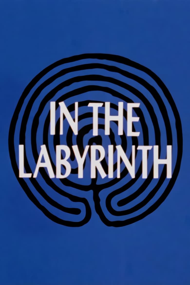 Poster of In the Labyrinth