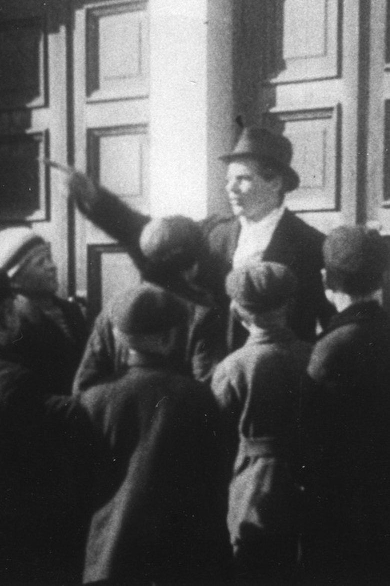 Poster of The Kiljunen Brothers at School