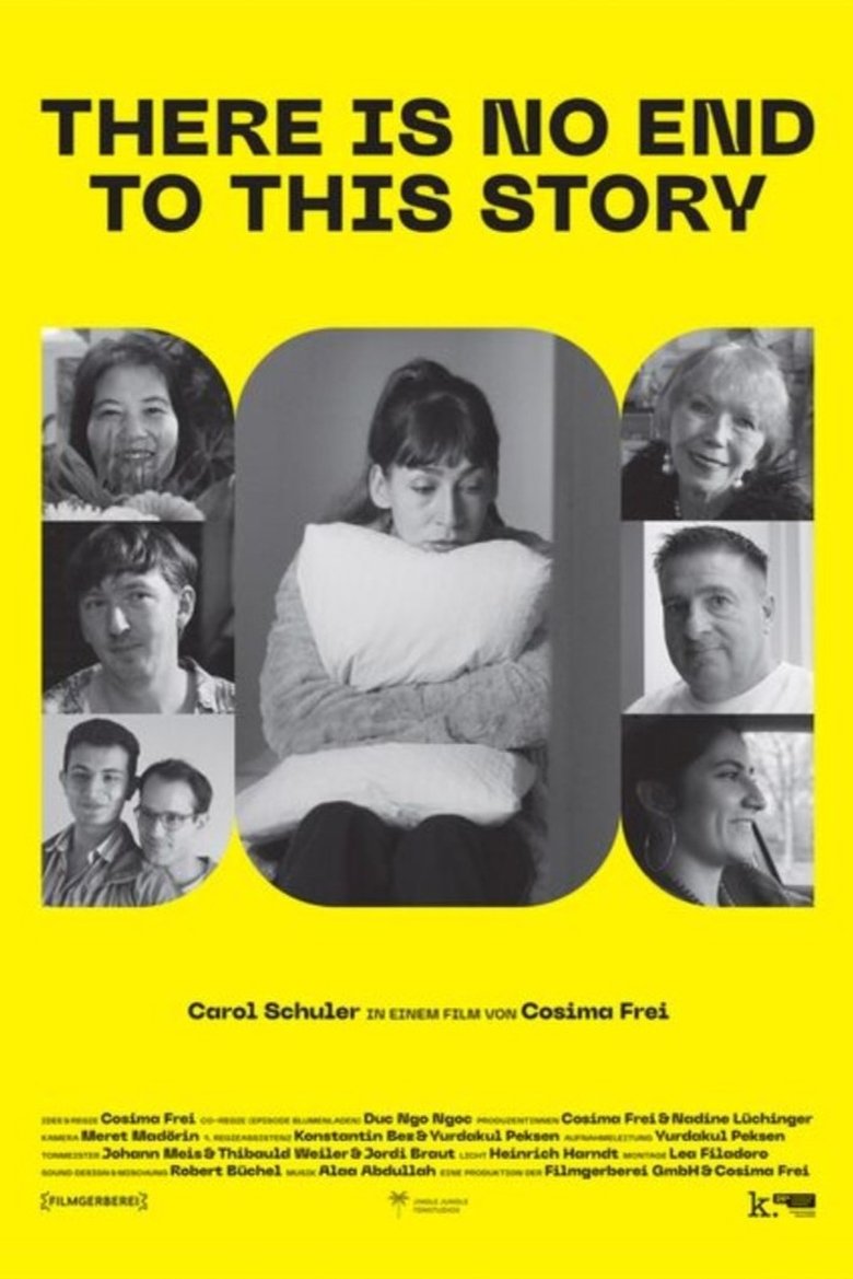 Poster of There is no End to this Story