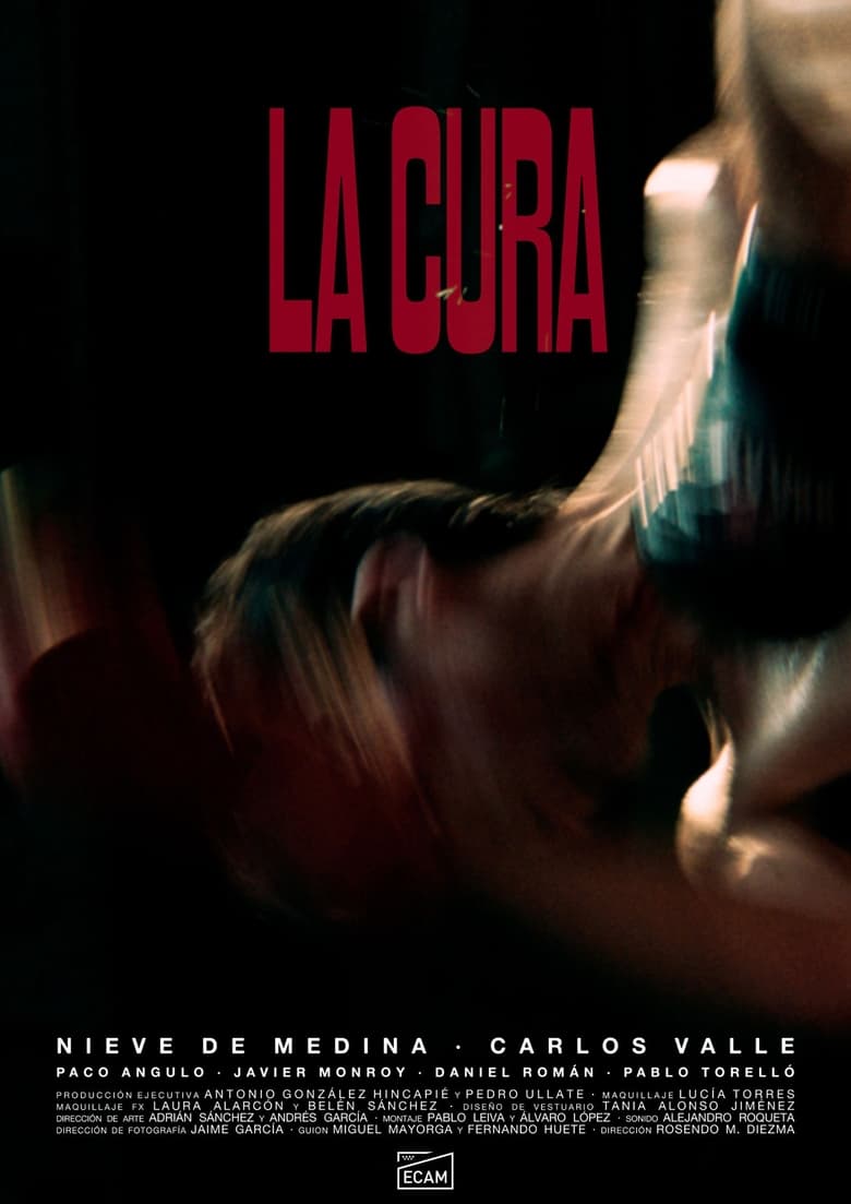 Poster of La cura