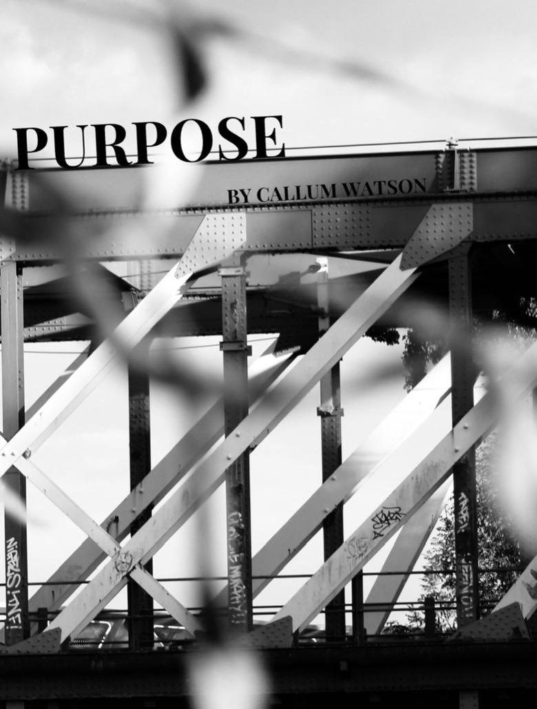 Poster of Purpose