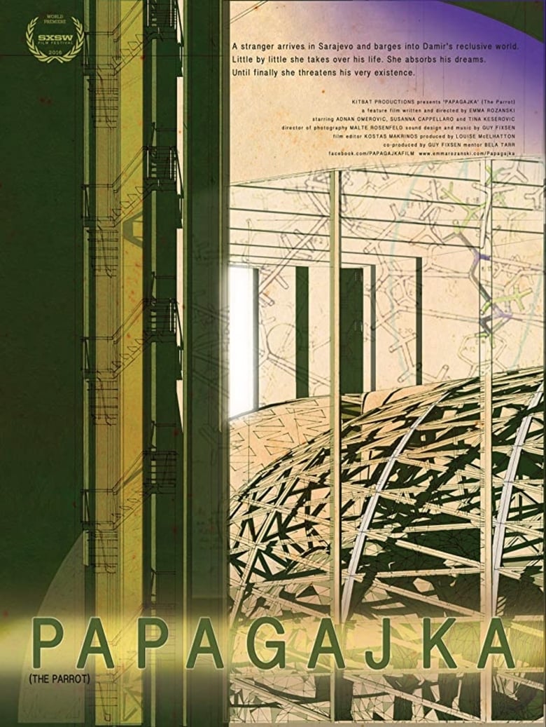 Poster of The Parrot (Papagajka)