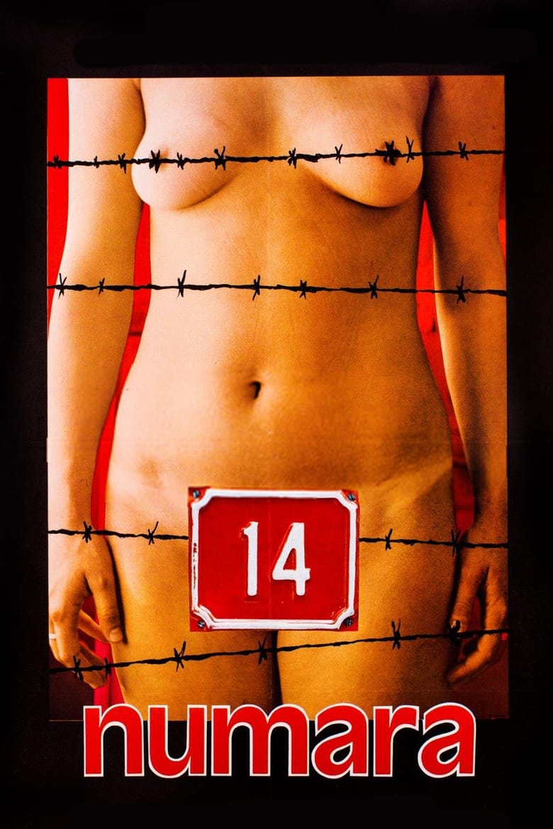 Poster of Number 14